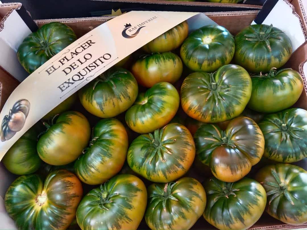 el-tomate-raf-una-joya-de-la-huerta-con-diferencias-notables-raf